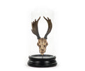 Moose Skull Bell-Glass Decor