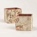 Birch Square Pots