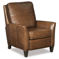 Shasta Recliner