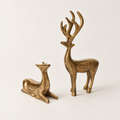 Prancer Reindeer Collection