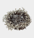 Iced Bird Nest Set