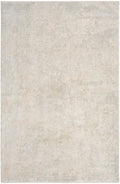 Envy Ivory Grey Modern Polypropylene Area Rug