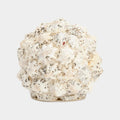 Shell Ball (Sm)