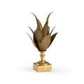 Yucca Plant