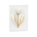 Porcelain Flowers - B