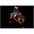 Rodeo Noir II