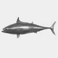 Mackerel Fish Wall Sculpture