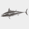 Mackerel Fish Wall Sculpture