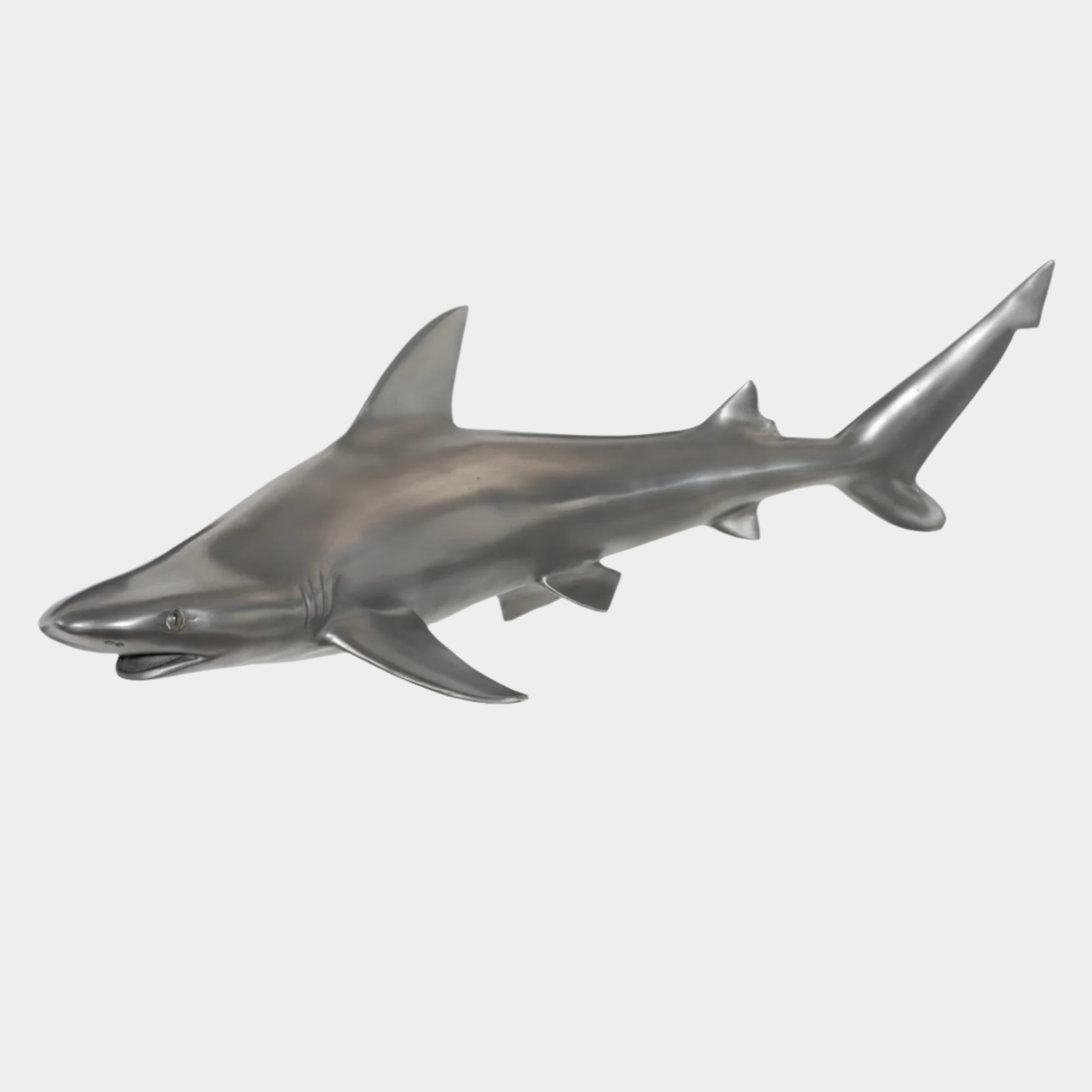 Black Tip Reef Shark