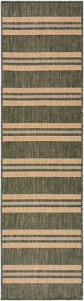 Horizon Indoor/Outdoor Green Modern Polypropylene Area Rug