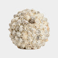 Shell Ball (Lg)