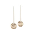 Nassa Shell Candleholder (Pr)