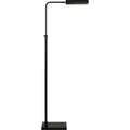 Fadia 60 ADJ." Length Floor Lamp, Matte Black