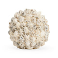 Shell Ball (Med)