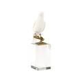 Parrot On Crystal - Square (Lg)