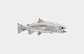Rainbow Trout Fish in Silver Leaf