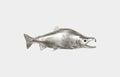 Sockeye Salmon in Silver Leaf – Fish Wall Sculpture