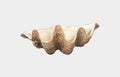 Cast Clam Shell Bowl