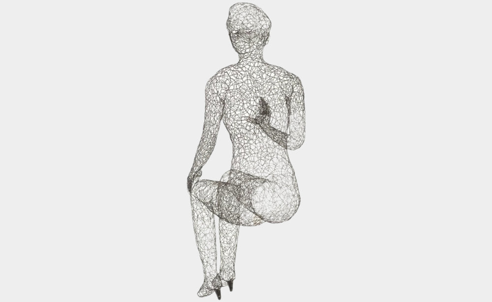Crazy Wire Sitting Female