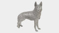 German Shepherd in Silver Leaf