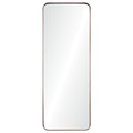 Phiale 53" Tall Rectangle Wall Mirror, Brown