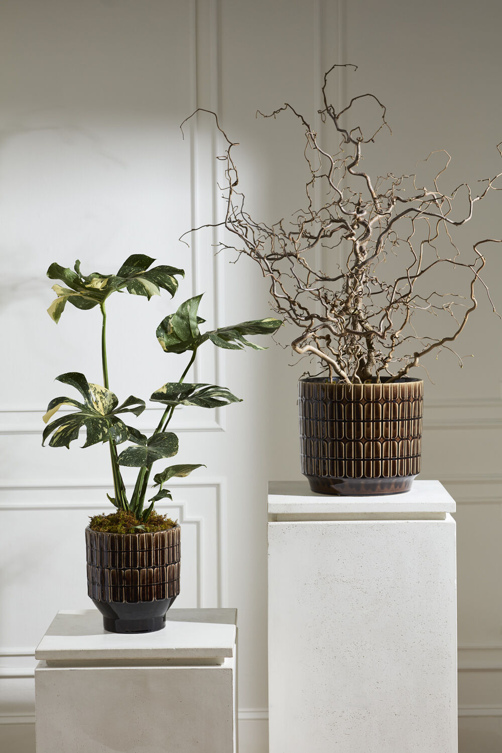 Kasra Pot
