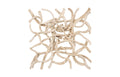 Vine Wall Tile – LG | Bleached