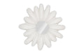 Radial Shell Mirror | White Stone