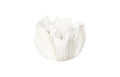 Cast Root Bowl – Closed | Faux Bleached
