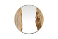 Petrified River Mirror | Glass, Metal, Petrified Wood