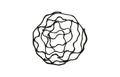 Vine Wall Flower – Black | Wood