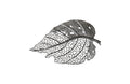Birch Leaf Wall Art – Silver – MD