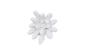 Compactum Succulent Wall Art – White Stone