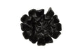 Topsy Turvy Succulent Wall Art – Smooth Matte Black