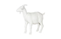 Goat | Off White