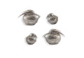 Kiwi Birds Wall Art | Set of 4 – Silver Leaf
