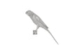 Parrot Looking Left Wall Art | Resin – Silver Leaf
