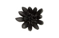 Compactum Succulent Wall Art – Smooth Matte Black