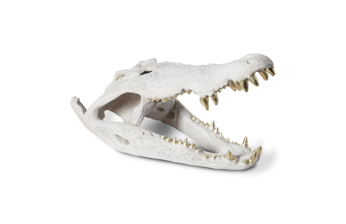 Crocodile Skull | Resin Composite - Roman Stone, Gold Leaf