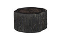 Chaka Petrified Coffee Table | Petrified Wood