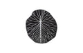 Rivulet Wall Tile | Wood / Chamcha Wood