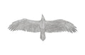 Soaring Eagle Wall Art | Resin