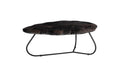 Mosaic Leaf Petrified Wood Coffee Table – Large
