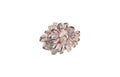 Barnacle Cluster Wall Art | Shell