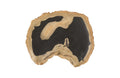 Cast Petrified Wood Wall Tile | Resin
