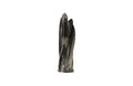 Fossilized Squid Sculpture