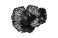 Flower Wall Art – Small – Black – Metal