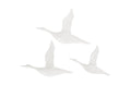 Flying Ducks | Gel Coat White – Set of 3