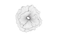 Poppy Flower Wall Art – Silver/Black | SM