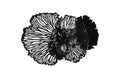 Flower Wall Art – Medium – Black – Metal